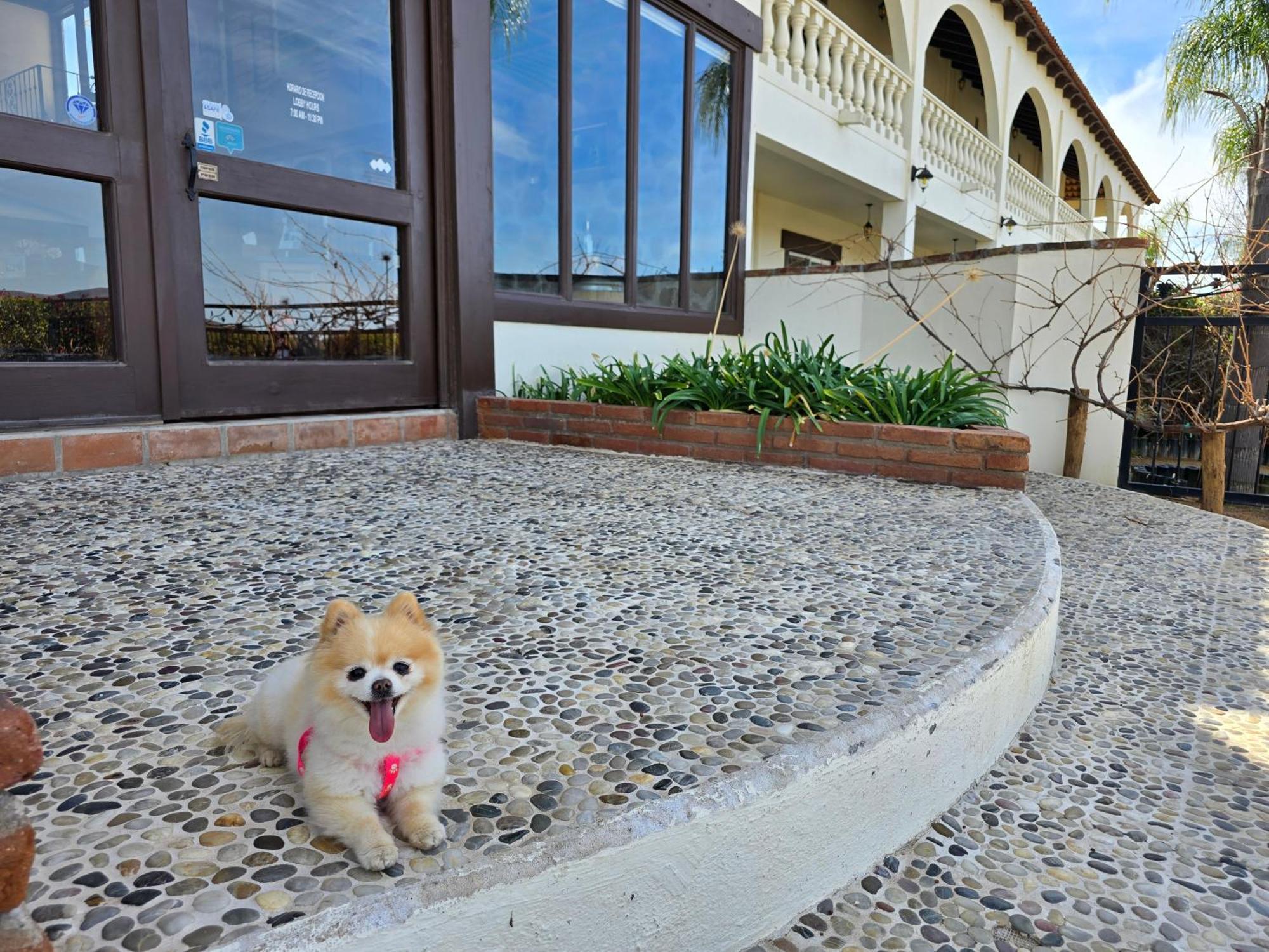 Hacienda Guadalupe Hotel Экстерьер фото