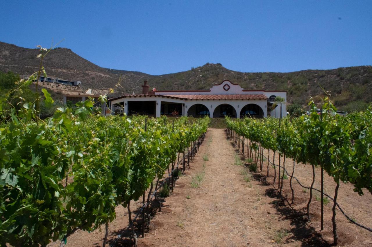 Hacienda Guadalupe Hotel Экстерьер фото